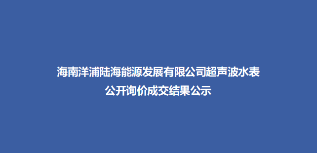海南洋浦陆海能源发展有限公司超声波水表公开询价成交
